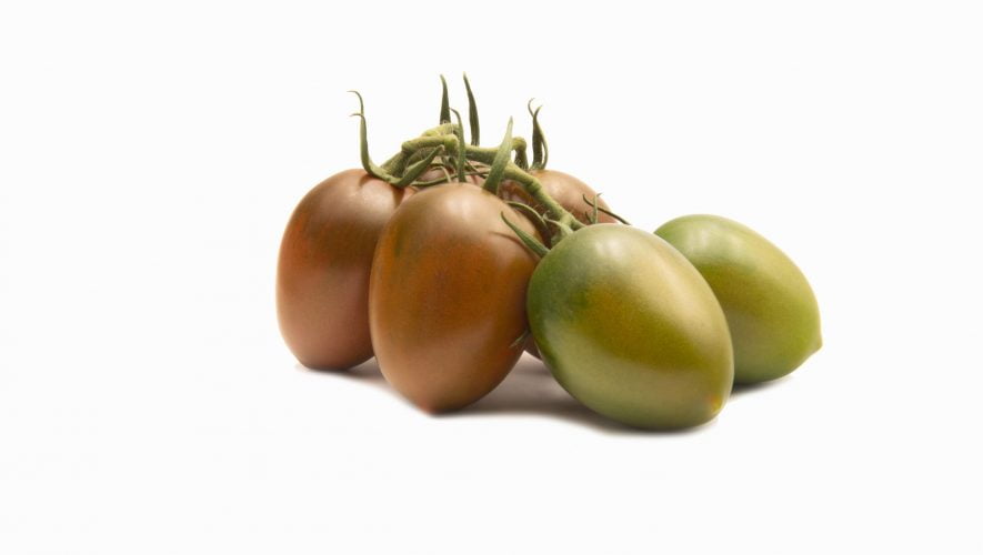 TOMACHOC®, the Top Seeds International chocolate tomato range